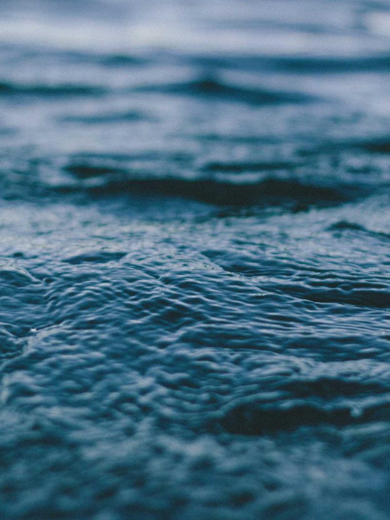 Bej